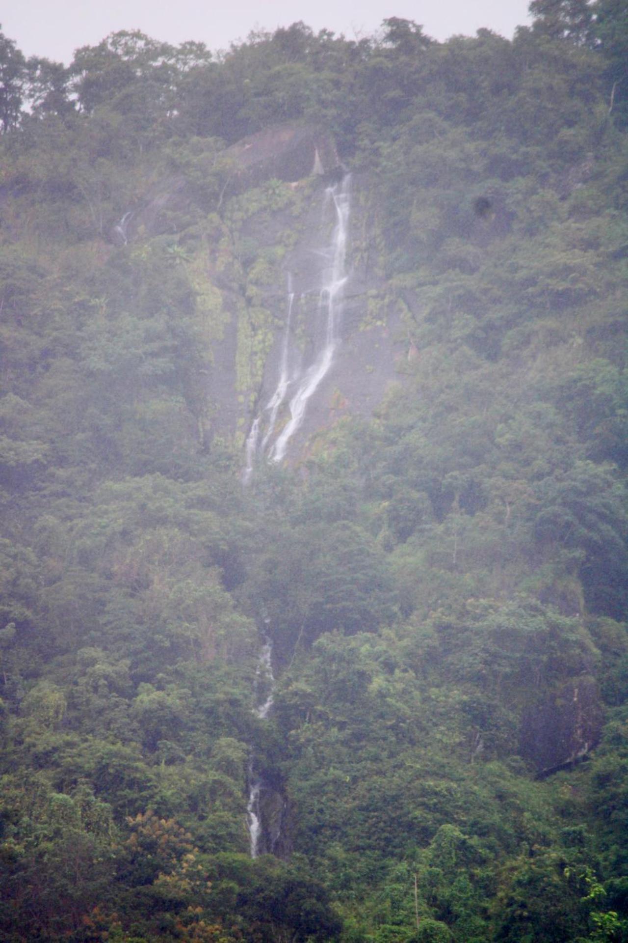 Mist Farm House Kudayattur Buitenkant foto